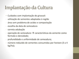 Implantação da Cultura
• Cuidados com implantação do girassol:
- utilização de sementes adaptadas à região
- área sem problema de acidez e compactação
- escolha da data de semeadura
- correta adubação
- operação de semeadura  características da semente como
formato e densidade;
- profundidade e uniformidade de semeadura;
- número reduzido de sementes consumidas por hectare (3 a 4
kg/ha);
 