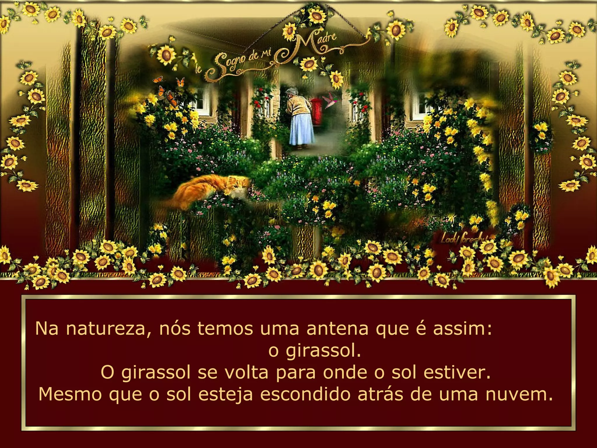 Na natureza, nós temos uma antena que é assim:
o girassol.
O girassol se volta para onde o sol estiver.
Mesmo que o sol esteja escondido atrás de uma nuvem.
 