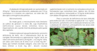 12
suplementação com o nutriente na semeadura através de
formulações que contenham boro. Aplicar aos 20 dias
após a emergência, misturando-se 10 kg de ácido bórico
com adubo nitrogenado, utilizado em cobertura.
Para a correção da deficiência de boro indicada
-1
pela análise de solo, recomenda-se aplicar de 1 a 2 kg ha
do nutriente, juntamente com a adubação de base ou com
a adubação de cobertura, principalmente nas áreas onde
já foram detectadas a deficiência.
A adubação nitrogenada pode ser aumentada em
-1
20 kg ha . Optar por parcelamento, adubando com 1/3 na
semeadura e o restante em cobertura, ao redor dos 30
dias após a emergência das plantas.
Micronutrientes
De modo geral, o micronutriente mais limitante
ao cultivo do girassol é o boro (B), cuja insuficiência
(deficiência) causa desde sintomas leves ou
imperceptíveis até a perda total da produção pela queda
dos capítulos.
Embora o girassol seja particularmente sensível à
deficiência de boro, ela é relativamente fácil de ser
-1
corrigida. Recomenda-se a aplicação de 1 kg ha de B, em
-3 -1
solos com teores de B até 0,20 mg dm , e 0,5 kg ha de B,
-3
em solos com teores de B entre 0,21 a 0,60 mg dm .
Solos que tenham recebido calagem, e/ou com teor de
-3
boro inferior a 0,26 mg dm , devem receber Sintomas de deficiência do boro
Fotos:
Ana
Barneche
 