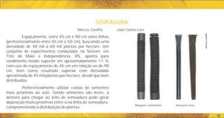 Mangotes sanfonados Mangotes lisos
Marcos
Caraffa
SEMEADURA
SEMEADURA
16
Espaçamento: entre 45 cm e 90 cm entre linhas
(preferencialmente entre 45 cm e 50 cm), buscando uma
densidade de 40 mil a 60 mil plantas por hectare. Um
conjunto de experimentos conduzidos na Setrem, em
Três de Maio e Independência, RS, aponta para
rendimento médio superior em aproximadamente 11 %
com uso de espaçamento de 45 cm em relação ao de 90
cm, bem como resultado superior com densidade
aproximada de 45 mil plantas por hectare, desde que bem
distribuídas.
Preferencialmente utilizar caixas de sementes
mais próximas ao solo. Sendo sementes são leves, a
demora para chegar ao leito de semeadura pode gerar
deposição muito próximas entre si na linha de semeadura,
comprometendo a distribuição de plantas.
Marcos Caraffa João Carlos Loro
 