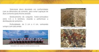 Semeadeira com caixas de semente próximas ao solo
17
Selecionar disco alveolado em conformidade
com as dimensões da semente, para evitar captação de
duas sementes pelo mesmo alvéolo.
Deslocamento do conjunto: trator-semeadora
entre 4,5 e 5 km/hora, visando a uniformizar a
distribuição de sementes.
Profundidade: de 3 cm a 4 cm, semeando
sempre com solo úmido.
Foto:
www.pivot.com.br/adm/spaw/imagens/Plantadeira.jpg
Germinação sobre palhada de aveia
Germinação sobre palhada de milho
Fotos:
Marcos
Caraffa
Fotos:
Marcos
Caraffa
 