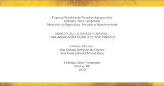 Empresa Brasileira de Pesquisa Agropecuária
Embrapa Clima Temperado
Ministério da Agricultura, Pecuária e Abastecimento
MANEJO DA CULTURA DO GIRASSOL:
UMA ABORDAGEM TÉCNICA DE USO PRÁTICO
Embrapa Clima Temperado
Pelotas, RS
2010
Editores Técnicos:
Ana Claudia Barneche de Oliveira
Ana Paula Schneid Afonso Rosa
 