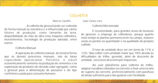 COLHEITA
COLHEITA
20
Colheita Mecanizada
É recomendado, para grandes áreas de lavouras
de girassol, o emprego de colhedoras, porque quanto
mais tempo as plantas permanecerem no campo, maiores
serão as perdas na quantidade e na qualidade do produto
colhido.
O teor de umidade deve ser em torno de 11% a
13%. Não colher com umidade maior que 18% devido às
dificuldades de trilha, gerando, além de desconto de
umidade, excessivo desconto por impurezas.
Ao usar plataforma para colheita de milho,
adaptar navalhas rebitadas na corrente e fixar uma na lata
de suporte da corrente, preferencialmente com parafuso
de bitola suficiente para não quebrar com facilidade.
A colheita do girassol pode ser realizada
de forma manual ou mecânica e é influenciada por vários
fatores de produção, como tamanho da área,
disponibilidade de mão de obra e/ou máquina colhedora,
investimentos, tecnologia de produção adotada, entre
outros.
Colheita Manual
A operação de colheita manual, da mesma forma
que os demais processos manuais, são de baixa
capacidade operacional. Portanto, é viável
economicamente somente na produção de sementes e na
exploração de produtos de elevado valor agregado, como
o girassol para a alimentação de pássaros e do tipo
confeiteiro usado para consumo humano.
Marcos Caraffa João Carlos Loro
 