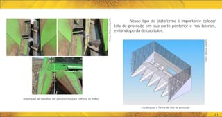 Adaptação de navalhas em plataformas para colheita de milho.
Fotos:
Marcos
Caraffa
21
Nesse tipo de plataforma é importante colocar
tela de proteção em sua parte posterior e nas laterais,
evitando perda de capítulos.
Localização e forma da tela de proteção
Fotos:
Marcos
Caraffa
 