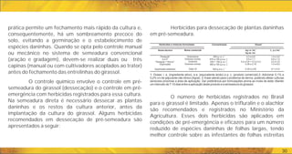 Concentração
Herbicidas e misturas formuladas 1
Doses
Nome técnico Nome comercial -1
kg i.a. ha
-1
kg ea. ha
-1
L. p.c.ha
2
Paraquat
3
2,4-D
2
Paraquat + Diuron
Glyphosate
Glyphosate potássico
Gramoxone
Diversos nomes
Gramocil
Diversos nomes
Zapp QI
-1
200 g i.a. L
-1
670 a 720 g e.a. L
-1
200 + 100 g i.a. L
-1
360 a 720 g e.a. L
-1
500 g e.a. L
0,3 a 0,6
0,5 a 1,1
0,4 a 0,6 + 0,2 a 0,3
0,36 a 2,16
0,35 a 2,00
1,5 a 3,0
0,8 a 1,5
2,0 a 3,0
1,0 a 6,0
0,7 a 4,0
30
1- Doses: i. a. (ingrediente ativo), e.a. (equivalente ácido) e p. c. (produto comercial).2- Adicionar 0,1% a
0,2% v/v de adjuvante não iônico (Agral). 3- Estar atento para o problema de deriva, podendo afetar culturas
sensíveis próximas a área de aplicação. Dar preferência por formulações amina ao invés de éster. Manter
um intervalo de 7-10 dias entre a aplicação deste produto e a semeadura do girassol.
prática permite um fechamento mais rápido da cultura e,
consequentemente, há um sombreamento precoce do
solo, evitando a germinação e o estabelecimento de
espécies daninhas. Quando se opta pelo controle manual
ou mecânico no sistema de semeadura convencional
(aração e gradagem), devem-se realizar duas ou três
capinas (manual ou com cultivadores acoplados ao trator)
antes do fechamento das entrelinhas do girassol.
O controle químico envolve o controle em pré-
semeadura do girassol (dessecação) e o controle em pré-
emergência com herbicidas registrados para essa cultura.
Na semeadura direta é necessário dessecar as plantas
daninhas e os restos da cultura anterior, antes da
implantação da cultura do girassol. Alguns herbicidas
recomendados em dessecação de pré-semeadura são
apresentados a seguir:
Herbicidas para dessecação de plantas daninhas
em pré-semeadura.
O número de herbicidas registrados no Brasil
para o girassol é limitado. Apenas o trifluralin e o alachlor
são recomendados e registrados no Ministério da
Agricultura. Esses dois herbicidas são aplicados em
condições de pré-emergência e eficazes para um número
reduzido de espécies daninhas de folhas largas, tendo
melhor controle sobre as infestantes de folhas estreitas
 