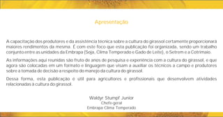Waldyr Stumpf Junior
Chefe-geral
Embrapa Clima Temperado
A capacitação dos produtores e da assistência técnica sobre a cultura do girassol certamente proporcionará
maiores rendimentos da mesma. É com este foco que esta publicação foi organizada, sendo um trabalho
conjunto entre as unidades da Embrapa (Soja, Clima Temperado e Gado de Leite), o Setrem e a Cotrimaio.
As informações aqui reunidas são fruto de anos de pesquisa e experiência com a cultura do girassol, e que
agora são colocadas em um formato e linguagem que visam a auxiliar os técnicos a campo e produtores
sobre a tomada de decisão a respeito do manejo da cultura do girassol.
Dessa forma, esta publicação é útil para agricultores e profissionais que desenvolvem atividades
relacionadas à cultura do girassol.
Apresentação
Apresentação
 
