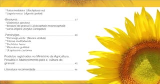 *Falsa-medideira (Rachiplusia nu)
*Lagarta-rosca (Agrotis ipsilon)
-Besouros
*Diabrotica speciosa
*Besouro-do-girassol (Cyclocephala melanocephala)
*Larva-angorá (Astylus variegatus)
-Percevejos............................................................................40
*Percevejo-verde (Nezara viridula)
*Edessa meditabunda
*Euchistus heros
*Piezodorus guildinii
*Scaptocoris castanea
Produtos registrados no Ministério da Agricultura,
Pecuária e Abastecimento para a cultura do
girassol...................................................................................45
Literatura recomendada......................................................46
...............................................................................37
 