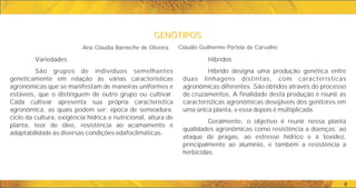 GENÓTIPOS
GENÓTIPOS
9
Híbridos
Híbrido designa uma produção genética entre
duas linhagens distintas, com características
agronômicas diferentes. São obtidos através do processo
de cruzamentos. A finalidade desta produção é reunir as
características agronômicas desejáveis dos genitores em
uma única planta, e essa depois é multiplicada.
Geralmente, o objetivo é reunir nessa planta
qualidades agronômicas como resistência a doenças, ao
ataque de pragas, ao estresse hídrico e à toxidez,
principalmente ao alumínio, e também a resistência a
herbicidas.
Variedades
São grupos de indivíduos semelhantes
geneticamente em relação às várias características
agronômicas que se manifestam de maneiras uniformes e
estáveis, que o distinguem de outro grupo ou cultivar.
Cada cultivar apresenta sua própria característica
agronômica, as quais podem ser: época de semeadura,
ciclo da cultura, exigência hídrica e nutricional, altura de
planta, teor de óleo, resistência ao acamamento e
adaptabilidade às diversas condições edafoclimáticas.
Ana Claudia Barneche de Oliveira Cláudio Guilherme Portela de Carvalho
 