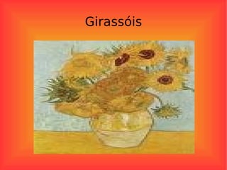 Girassóis 