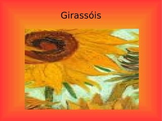 Girassóis 