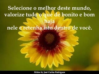Selecione o melhor deste mundo, valorize tudo o que de bonito e bom haja nele e retenha isto dentro de você. 