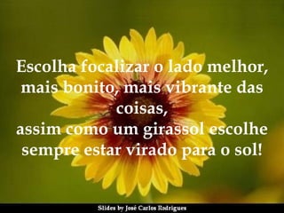 Escolha focalizar o lado melhor, mais bonito, mais vibrante das coisas, assim como um girassol escolhe sempre estar virado para o sol! 