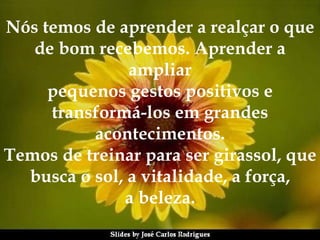Nós temos de aprender a realçar o que de bom recebemos. Aprender a ampliar pequenos gestos positivos e transformá-los em grandes acontecimentos. Temos de treinar para ser girassol, que busca o sol, a vitalidade, a força, a beleza. 