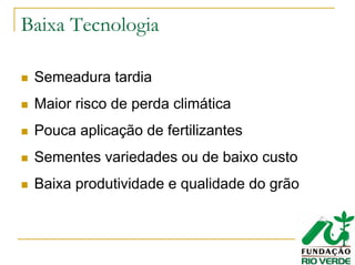 Baixa Tecnologia
Semeadura tardia
Maior risco de perda climática
Pouca aplicação de fertilizantes
Sementes variedades ou de baixo custo
Baixa produtividade e qualidade do grão
 