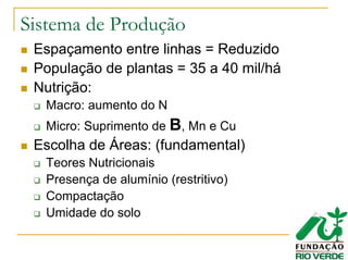 Sistema de Produção
Espaçamento entre linhas = Reduzido
População de plantas = 35 a 40 mil/há
Nutrição:
Macro: aumento do N
Micro: Suprimento de B, Mn e Cu
Escolha de Áreas: (fundamental)
Teores Nutricionais
Presença de alumínio (restritivo)
Compactação
Umidade do solo
 