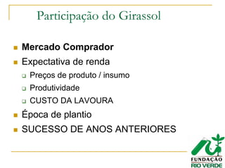 Participação do Girassol
Mercado Comprador
Expectativa de renda
Preços de produto / insumo
Produtividade
CUSTO DA LAVOURA
Época de plantio
SUCESSO DE ANOS ANTERIORES
 