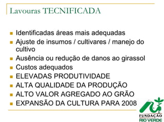 Lavouras TECNIFICADA
Identificadas áreas mais adequadas
Ajuste de insumos / cultivares / manejo do
cultivo
Ausência ou redução de danos ao girassol
Custos adequados
ELEVADAS PRODUTIVIDADE
ALTA QUALIDADE DA PRODUÇÃO
ALTO VALOR AGREGADO AO GRÃO
EXPANSÃO DA CULTURA PARA 2008
 