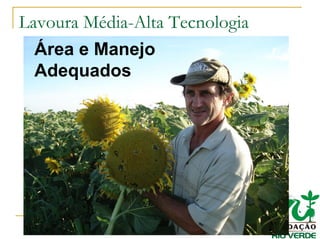 Lavoura Média-Alta Tecnologia
Área e Manejo
Adequados
 