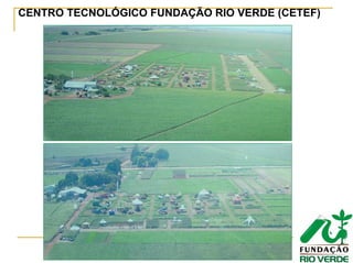CENTRO TECNOLÓGICO FUNDAÇÃO RIO VERDE (CETEF)
 