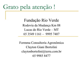 Grato pela atenção !
Fundação Rio Verde
Rodovia da Mudança Km 08
Lucas do Rio Verde – MT
65 3549 1161 – 9995 7407
Formma Consultoria Agronômica
Clayton Giani Bortolini
claytonbortolini@terra.com.br
65 9985 8477
 
