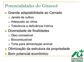 Potencialidades do Girassol
Grande adaptabilidade ao Cerrado
Janela de cultivo
Adequado ao clima
Tolerância a deficiência hídrica
Diversidade de finalidades
Óleo comestível
Biocombustível
Torta para alimentação animal
Otimização da estrutura da propriedade
Bom potencial econômico
 