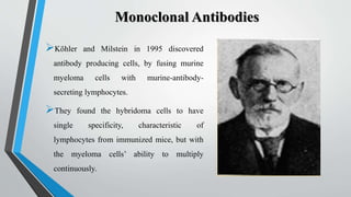 Monoclonal Antibodies
Köhler and Milstein in 1995 discovered
antibody producing cells, by fusing murine
myeloma cells with murine-antibody-
secreting lymphocytes.
They found the hybridoma cells to have
single specificity, characteristic of
lymphocytes from immunized mice, but with
the myeloma cells’ ability to multiply
continuously.
 