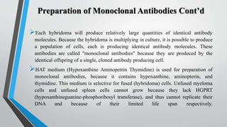 Preparation of Monoclonal Antibodies Cont’d
Each hybridoma will produce relatively large quantities of identical antibody
molecules. Because the hybridoma is multiplying in culture, it is possible to produce
a population of cells, each is producing identical antibody molecules. These
antibodies are called "monoclonal antibodies" because they are produced by the
identical offspring of a single, cloned antibody producing cell.
HAT medium (Hypoxanthine Aminopetrin Thymidine) is used for preparation of
monoclonal antibodies, because it contains hypoxanthine, aminopterin, and
thymidine. This medium is selective for fused (hybridoma) cells. Unfused myeloma
cells and unfused spleen cells cannot grow because they lack HGPRT
(hypoxanthineguanine-phosphoribosyl transferase), and thus cannot replicate their
DNA and because of their limited life span respectively.
 