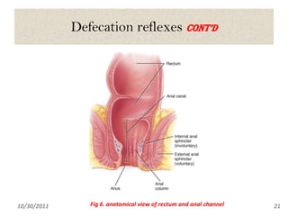 gastro intestinal reflexes | PPTX