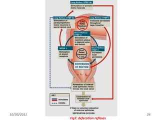 gastro intestinal reflexes | PPTX