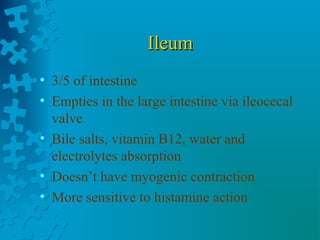 IleumIleum
• 3/5 of intestine
• Empties in the large intestine via ileocecal
valve
• Bile salts, vitamin B12, water and
electrolytes absorption
• Doesn’t have myogenic contraction
• More sensitive to histamine action
 