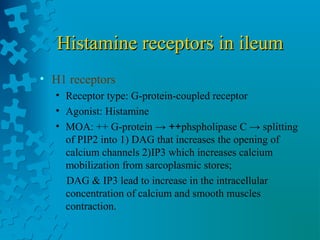 Histamine receptors in ileumHistamine receptors in ileum
• H1 receptors
• Receptor type: G-protein-coupled receptor
• Agonist: Histamine
• MOA: ++ G-protein → ++phspholipase C → splitting
of PIP2 into 1) DAG that increases the opening of
calcium channels 2)IP3 which increases calcium
mobilization from sarcoplasmic stores;
DAG & IP3 lead to increase in the intracellular
concentration of calcium and smooth muscles
contraction.
 