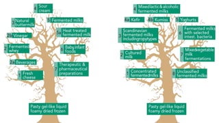 Food fermentation | PPTX