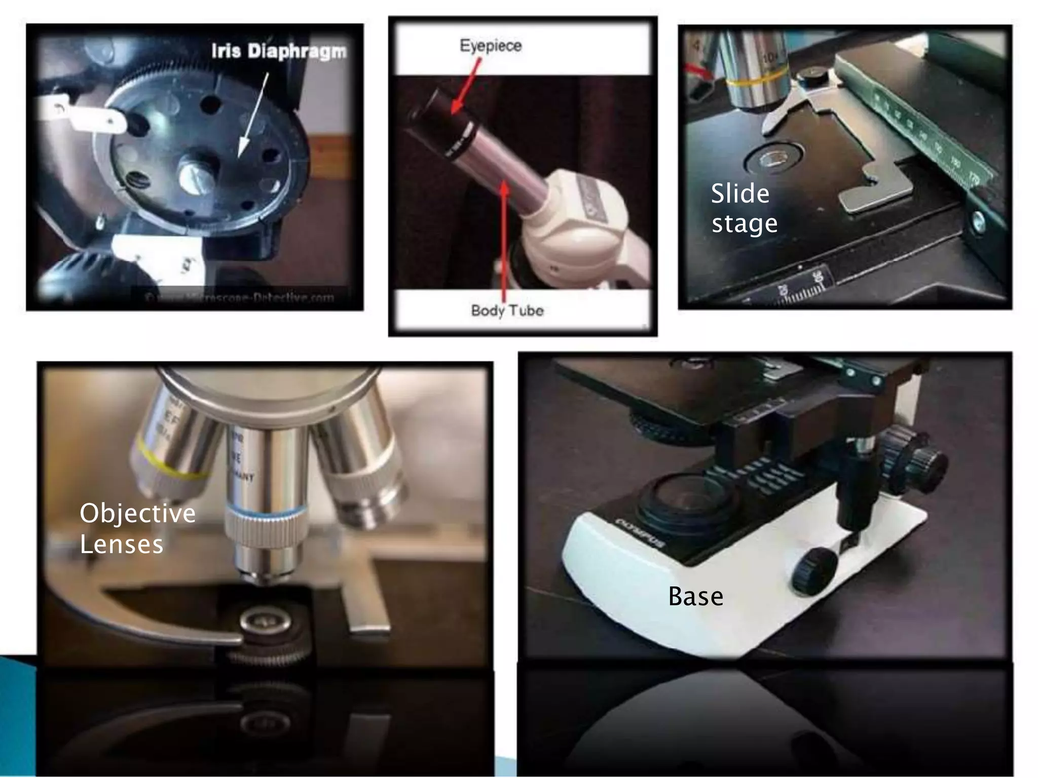 Slide
stage
Objective
Lenses
Base
 