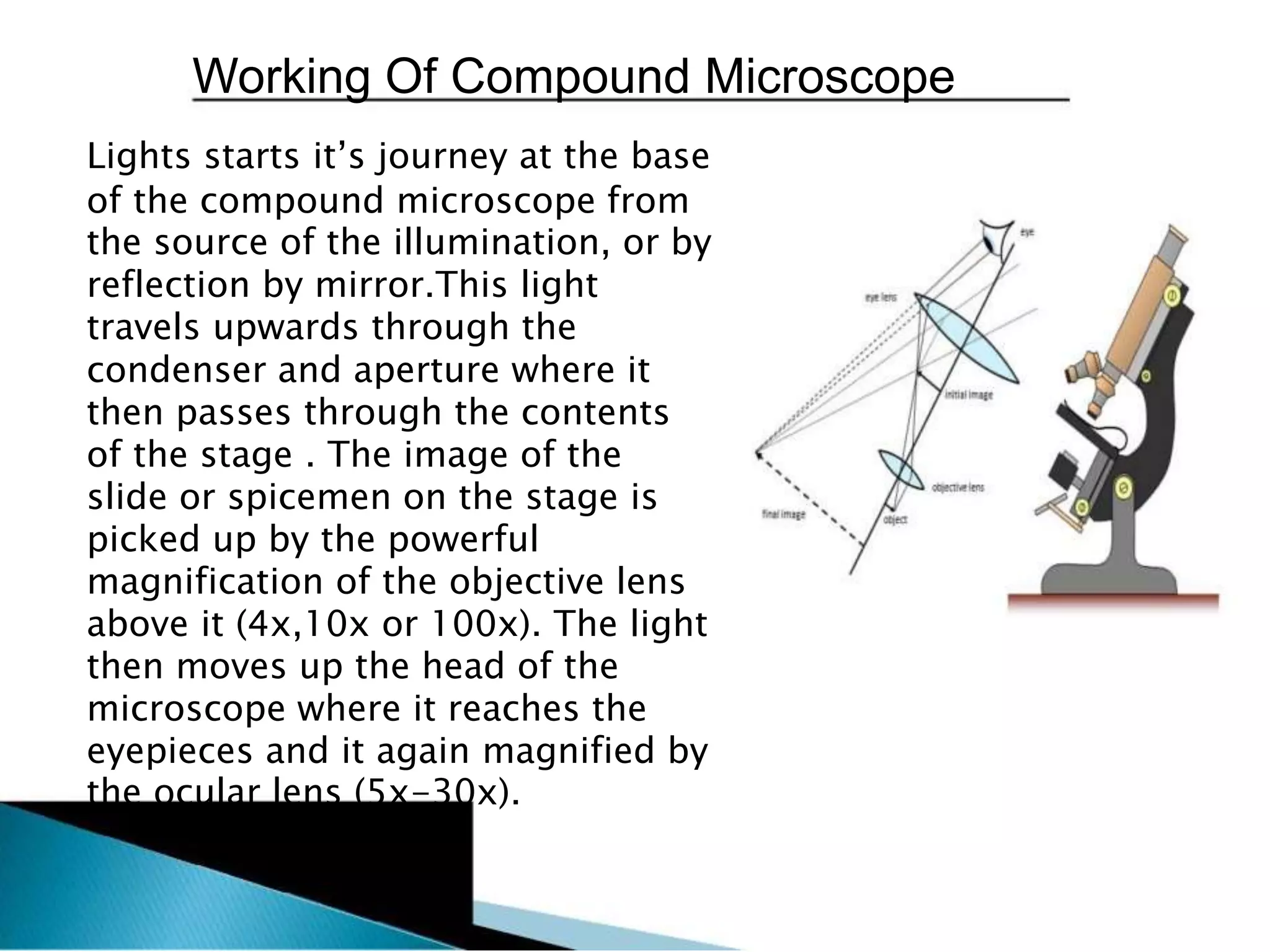 Working Of Compound Microscope
Lights starts it’s journey at the base
of the compound microscope from
the source of the illumination, or by
reflection by mirror.This light
travels upwards through the
condenser and aperture where it
then passes through the contents
of the stage . The image of the
slide or spicemen on the stage is
picked up by the powerful
magnification of the objective lens
above it (4x,10x or 100x). The light
then moves up the head of the
microscope where it reaches the
eyepieces and it again magnified by
the ocular lens (5x-30x).
 