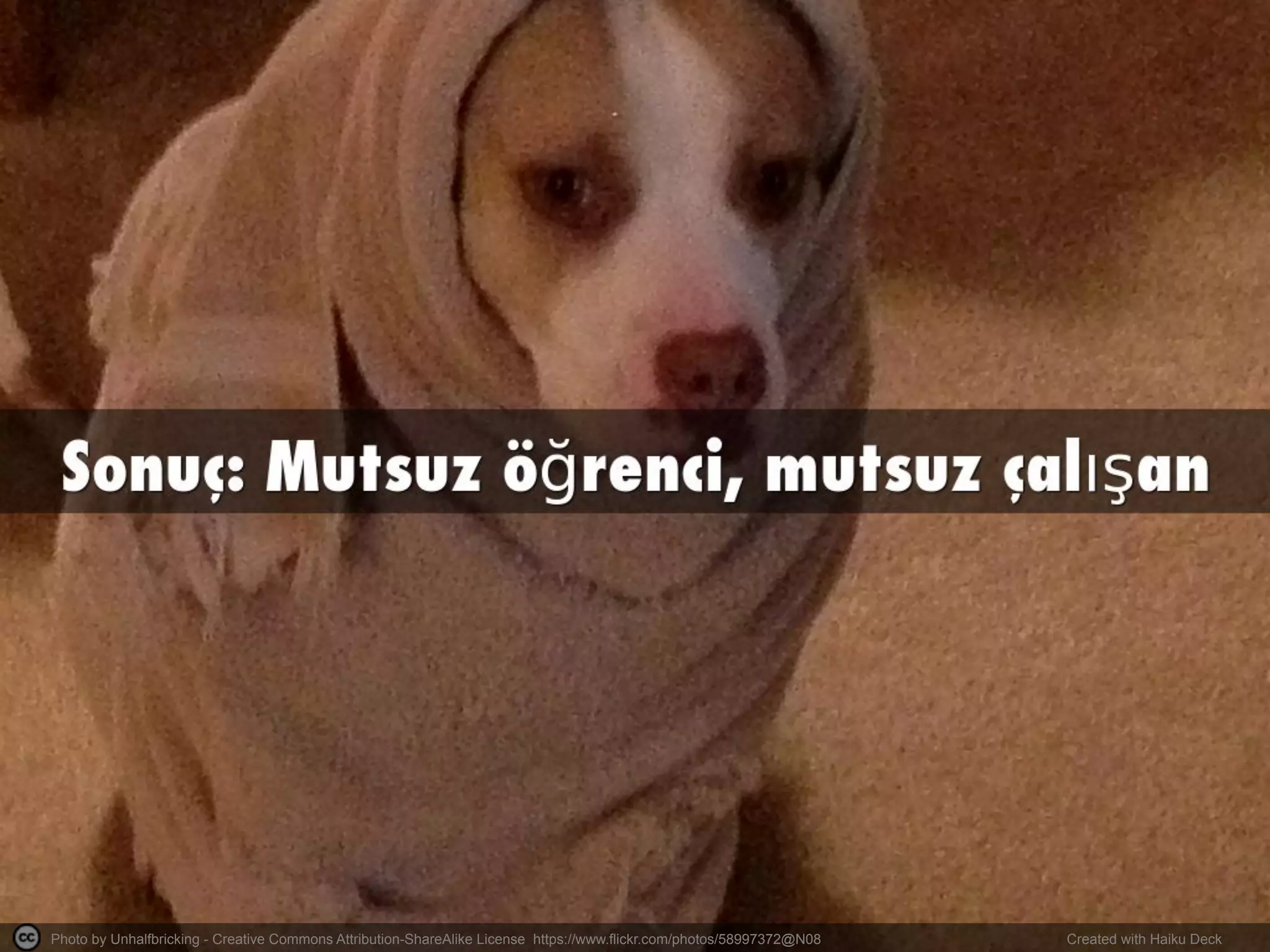 Photo by Unhalfbricking - Creative Commons Attribution-ShareAlike License https://www.flickr.com/photos/58997372@N08	
   Created with Haiku Deck	
  
 