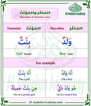 Arabic vocabularies - Girl | PDF