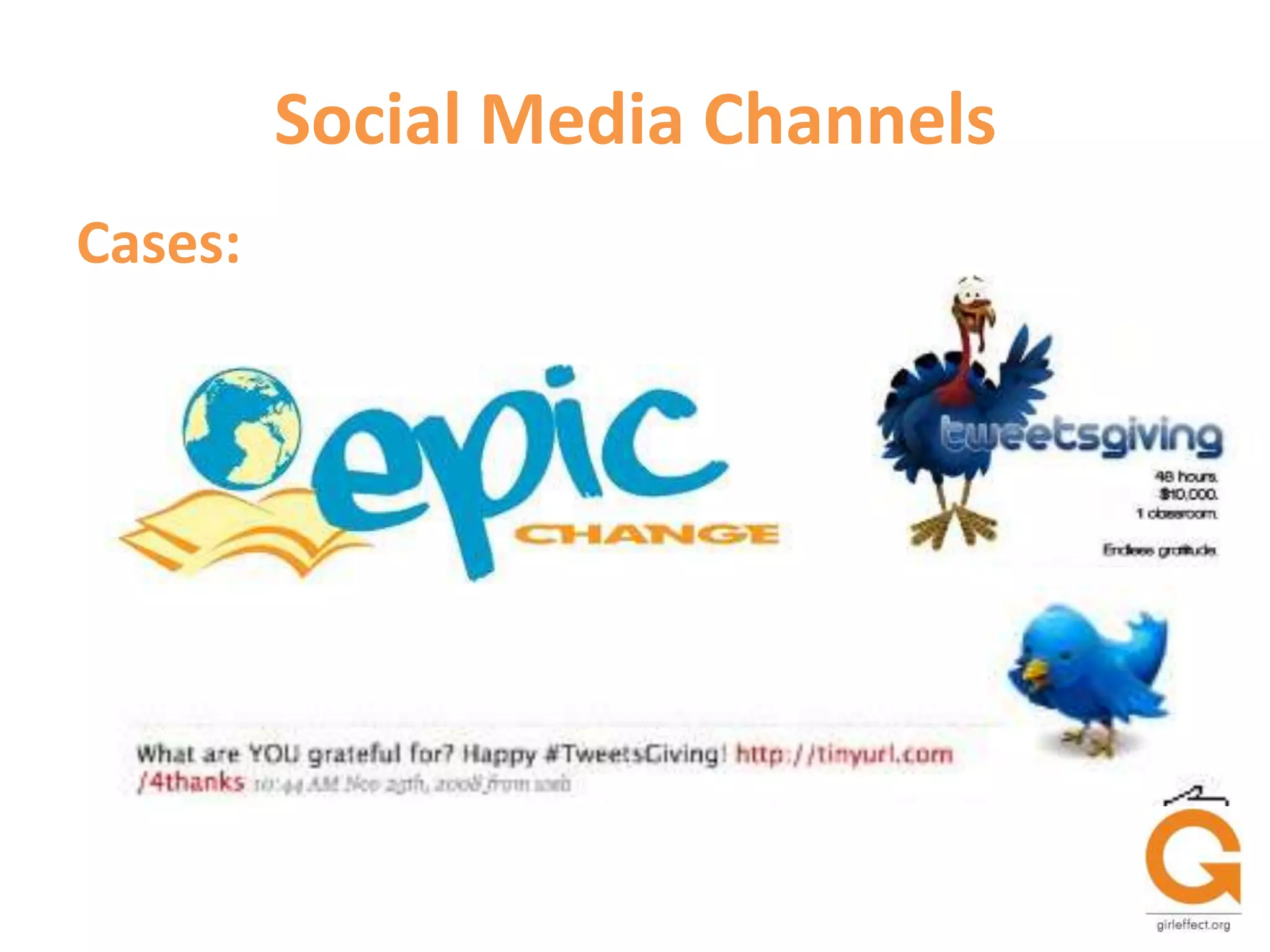 Training programs for  NGOs