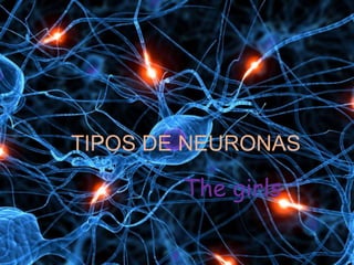 Tipos de Neuronas The girls  