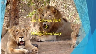 Gir National Park
&
Wildlife Sanctuary
 