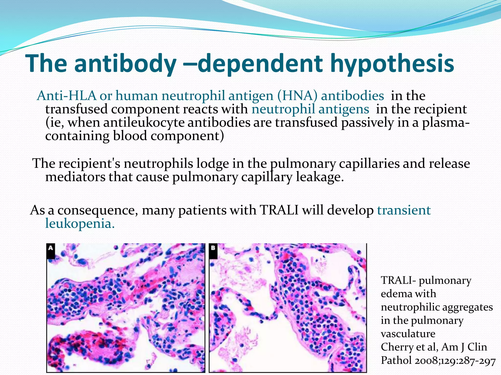 Alloantigens represents the blood groups major barriers for transfusionOn RBCs  - 30 major blood group systems and over 200 minor group systemsABO molecules are glyco-sphingolipids (major  histocompatibility antigens)A and B  = terminal sugars (A = N-Acetyl-Dgalactosamine; B = alpha-D-galactose)Availability of blood donors – major limitationABO matching is also important in solid organ transplantation.