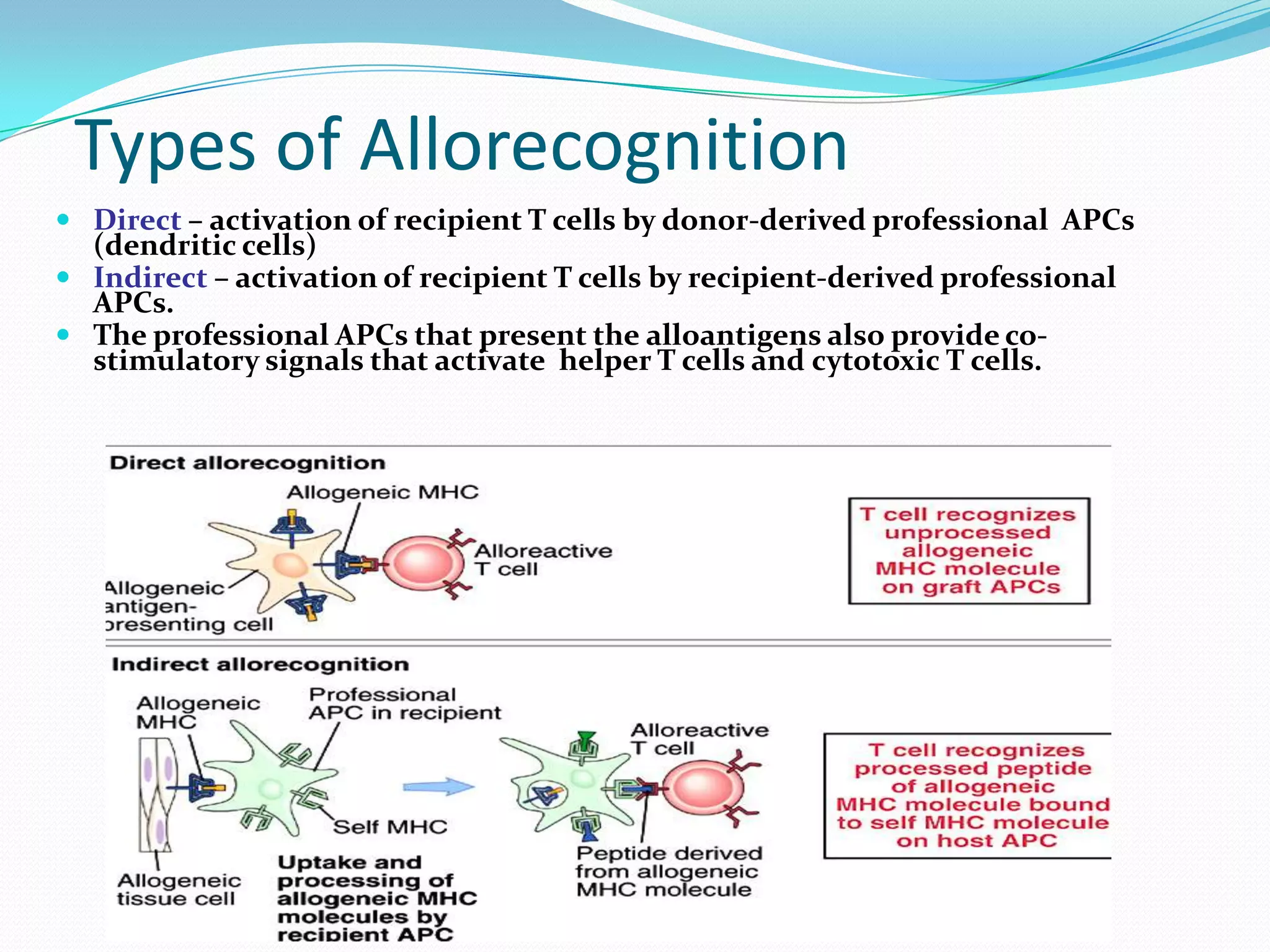 Noninfectious Serious Hazards of Transfusion 