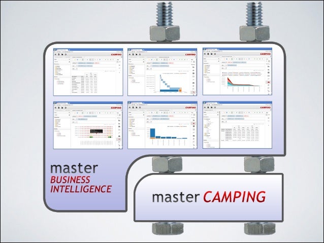 Master thesis business intelligence