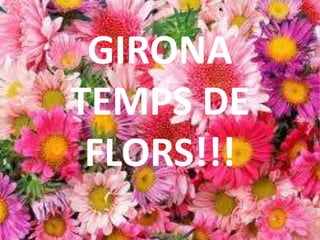 GIRONA
TEMPS DE
 FLORS!!!
 