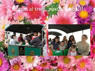 Pugem al tren...xuxua xuxua!!!
 