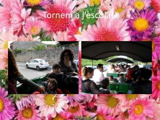 Tornem a l’escola!!
 