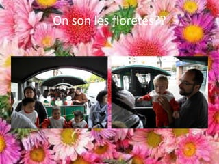 On son les floretes??
 