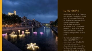 E L R I U O N YA R
El riu Onyar és un riu de Catalunya
concretament pertanyent a l’àmbit
gironí. Aquest, neix al Massís de
les Guilleries a una altura de 220
metres aproximadament
concretament al municipi
de Brunyola situat a la serralada
prelitoral. L’Onyar, és un afluent
del riu Ter i travessa Girona de
nord a sud fragmenta-la en dues
parts.
Té una longitud de 34 km i un
cabal mitjà d'1,82 m³/s i
desemboca a una altitud de 76
metres aproximadament.
Concretament, desemboca al riu
Ter. Els territoris que travessa la
conca de l’Onyar són La Selva i El
 