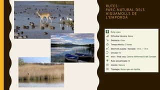 R U T E S :
PA R C N AT U R A L D E L S
A I G UA M O L L S D E
L ' E M P O R DÀ
 