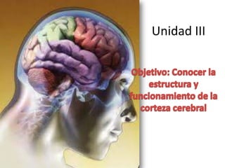 Unidad III
 