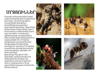 ՄՐՋՅՈՒՆՆԵՐ
Գաղութի ամենաբազմանդամ խմբի՝
աշխատավորների վրա են դրված բույն
կառուցելու, սնունդ հայթայթելու,
մատղաշներին կերակրելու,
թշնամիներից պաշտպանելու
պարտականությունները։ Մրջյունները
երբեք չեն քնում։Մրջյունները սնվում
են բուսական ու կենդանական կերով,
որոշ տեսակներ՝ առավելապես
լվիճների քաղցր արտաթորանքով։
Աշխատավոր մրջյունների թագուհուն
և թրթուրներին սնում են իրենց
թգագեղձերի արտադրած հյութով՝
տրոֆոլաքսիսով։Մրջյունները
օգտակար են, նպաստում են սերմերի
տարածմանը, բույսերի փոշոտմանը,
հողառաջացմանը, ոչնչացնում են
վնասատուների
թրթուրները։Գոյություն ունեն
մրջյուններ, որոնք համարվում են
մեղրի կենդանի անոթներ։ Այս
մրջյունները գաղութում ոչինչ չեն
անում և պարարտանում են այլ
մրջյունների հավաքած ամենահամեղ
կերակուրներով։
 